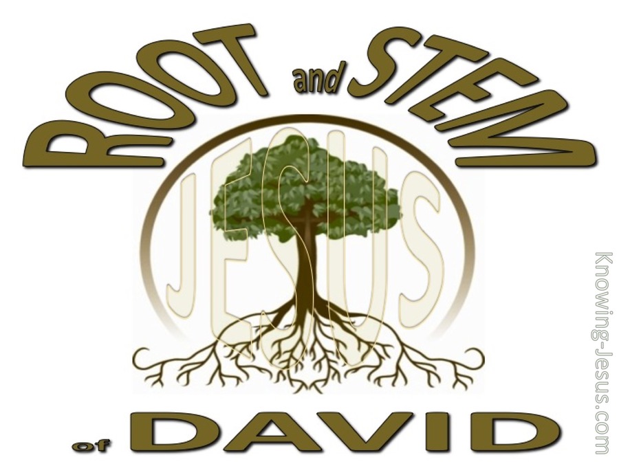 Revelation 22:16 Root and Stem of David (brown)